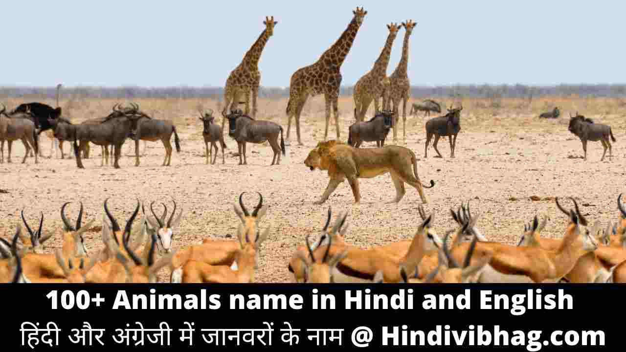 Animals name in hindi and english | हिंदी में जानवरों के नाम - Hindi vibhag