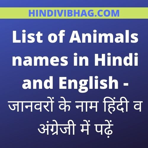 Animals name in hindi and english | हिंदी में जानवरों के नाम - Hindi vibhag